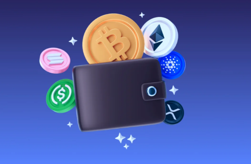 WhiteBIT Crypto Colocation Explained Benefits Features & Security