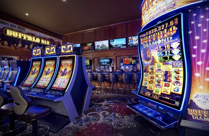 RajaSport Experience Premium Sports Entertainment Anytime